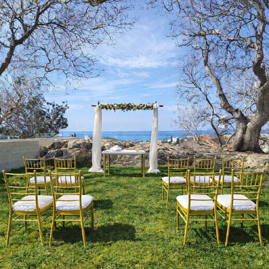 Image: http://www.bookyourweddingday.com/images/media/uploadfiles/Municipal Art Galery outdoor venue.png